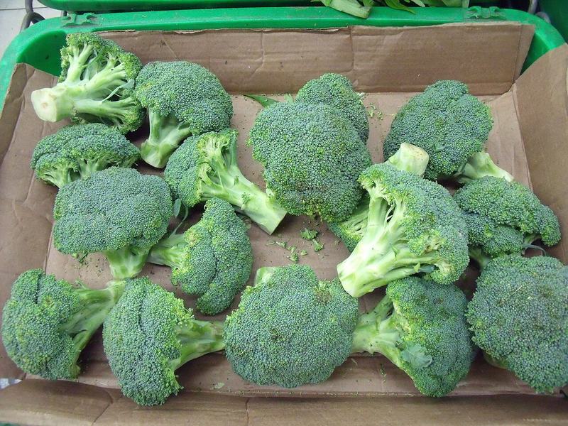 Heads of broccoli in a box