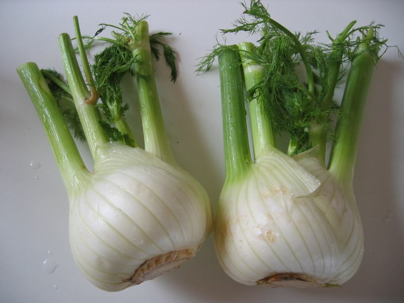 Two bulbs of Florence fennel with feathery tops
