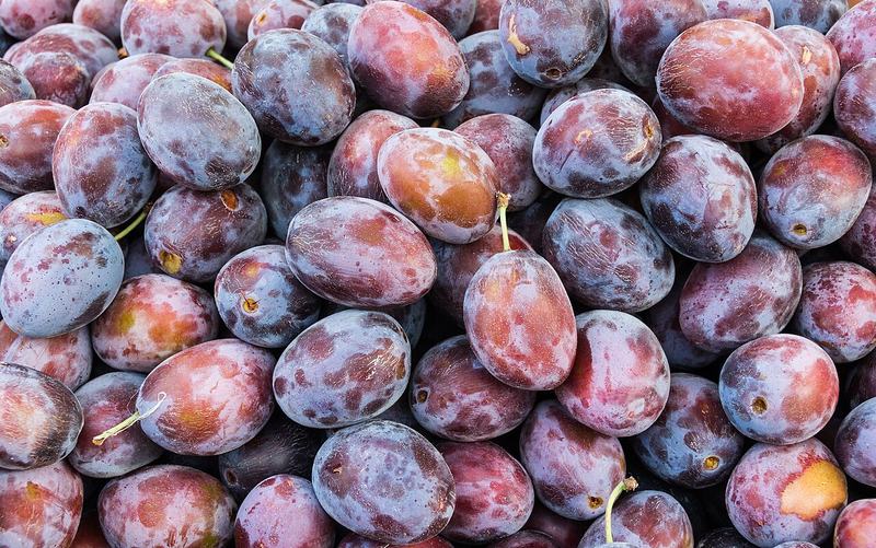 A pile of purple plums