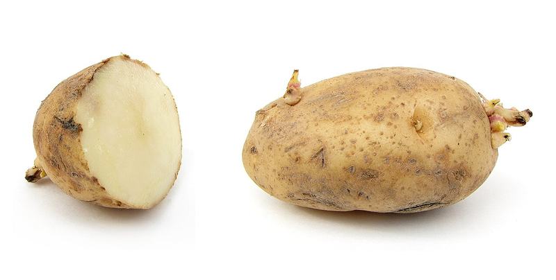 Two russet potatoes, one cut in half