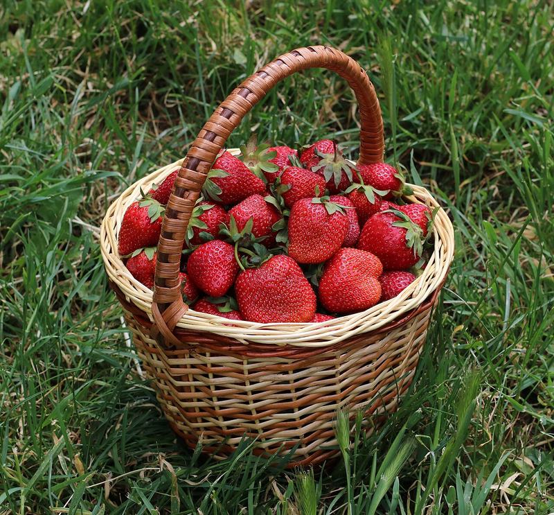 A basket of fresh strawberries