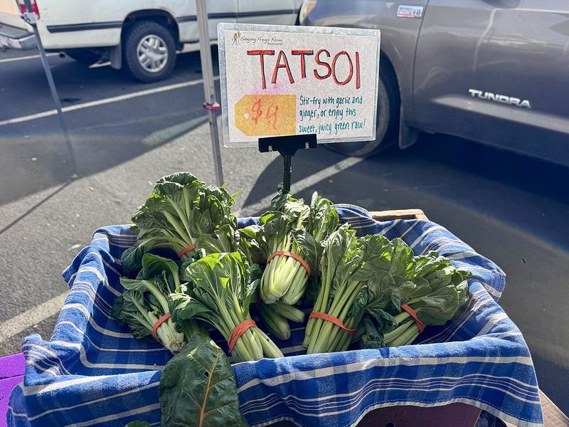 Bunches of dark green tatsoi at a farmers market